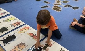 Misie: Maj 2026 - Zdjęcie 142