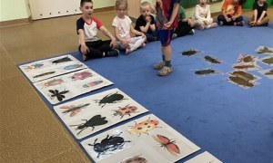 Misie: Maj 2026 - Zdjęcie 147