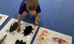 Misie: Maj 2026 - Zdjęcie 148