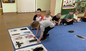 Misie: Maj 2026 - Zdjęcie 151