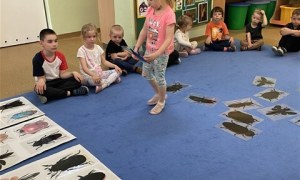 Misie: Maj 2026 - Zdjęcie 152