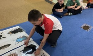 Misie: Maj 2026 - Zdjęcie 155