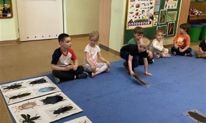 Misie: Maj 2026 - Zdjęcie 159