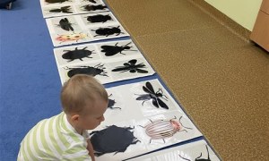 Misie: Maj 2026 - Zdjęcie 162
