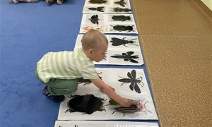 Misie: Maj 2026 - Zdjęcie 163