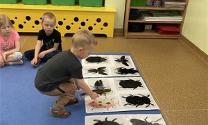 Misie: Maj 2026 - Zdjęcie 164