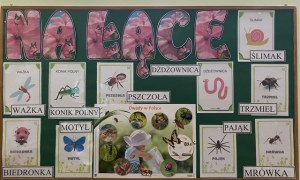 Misie: Maj 2026 - Zdjęcie 165