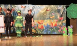 Misie: Maj 2026 - Zdjęcie 216
