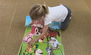Misie: Maj 2026 - Zdjęcie 248