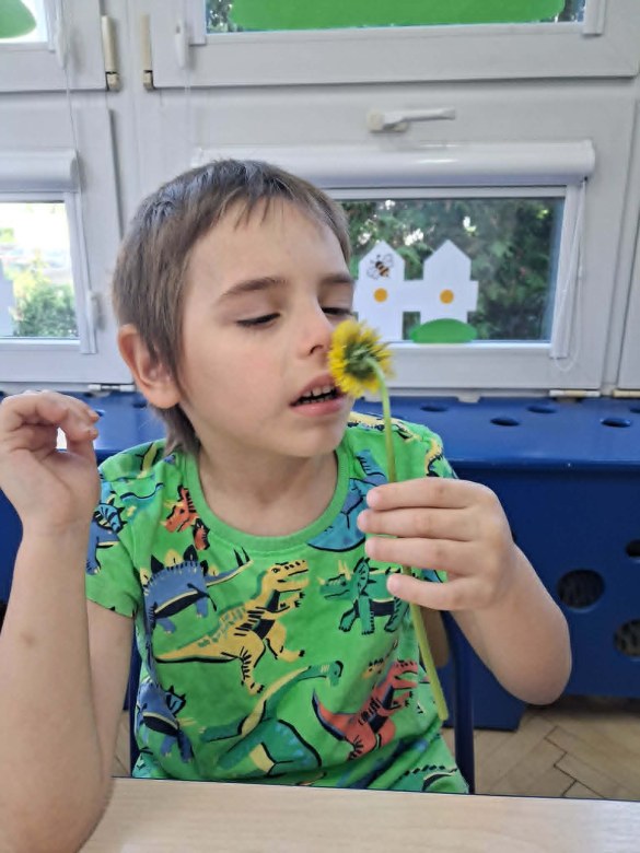 Muminki: Maj 2026 - Zdjęcie 9