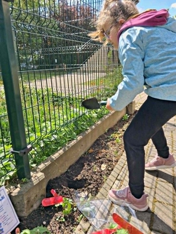 Muminki: Maj 2026 - Zdjęcie 14