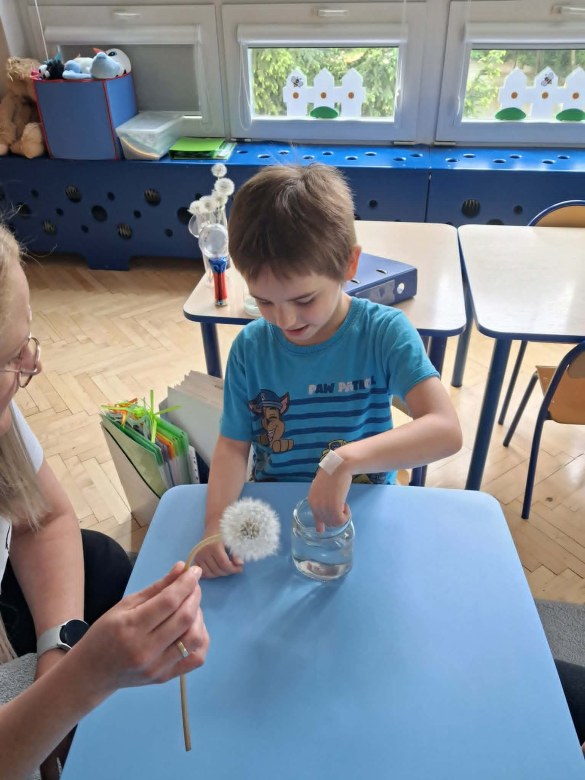 Muminki: Maj 2026 - Zdjęcie 29