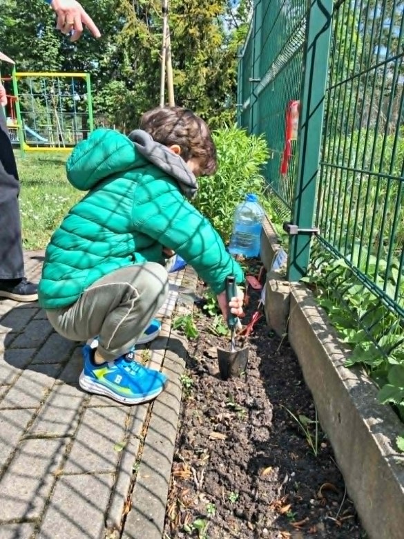 Muminki: Maj 2026 - Zdjęcie 33
