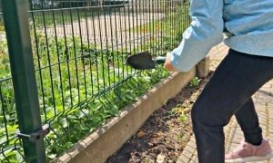 Muminki: Maj 2026 - Zdjęcie 14