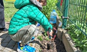 Muminki: Maj 2026 - Zdjęcie 33