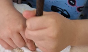 Muminki: Maj 2026 - Zdjęcie 56