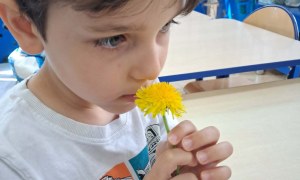 Muminki: Maj 2026 - Zdjęcie 20