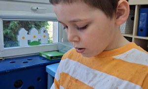 Muminki: Maj 2026 - Zdjęcie 43