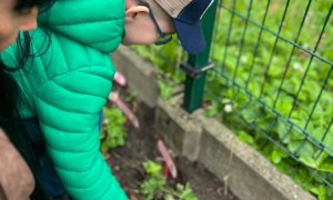 Tygryski: Maj 2026 - Zdjęcie 12