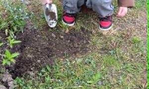 Jeżyki: Maj 2026 - Zdjęcie 18