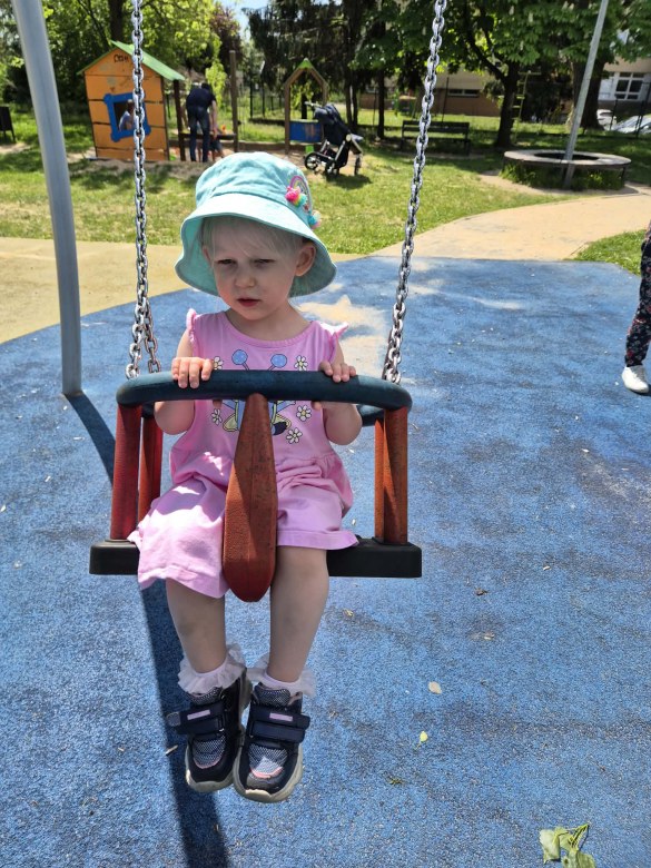 Sówki: Maj 2026 - Zdjęcie 62