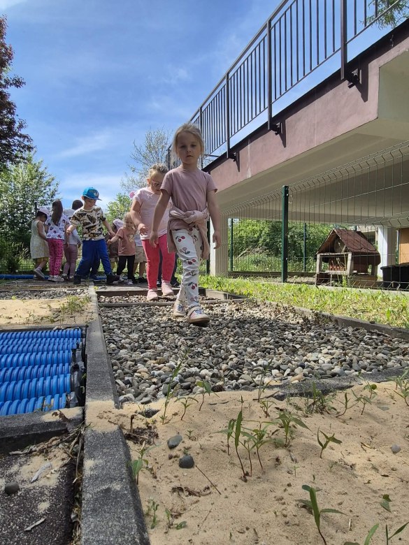 Sówki: Maj 2026 - Zdjęcie 70