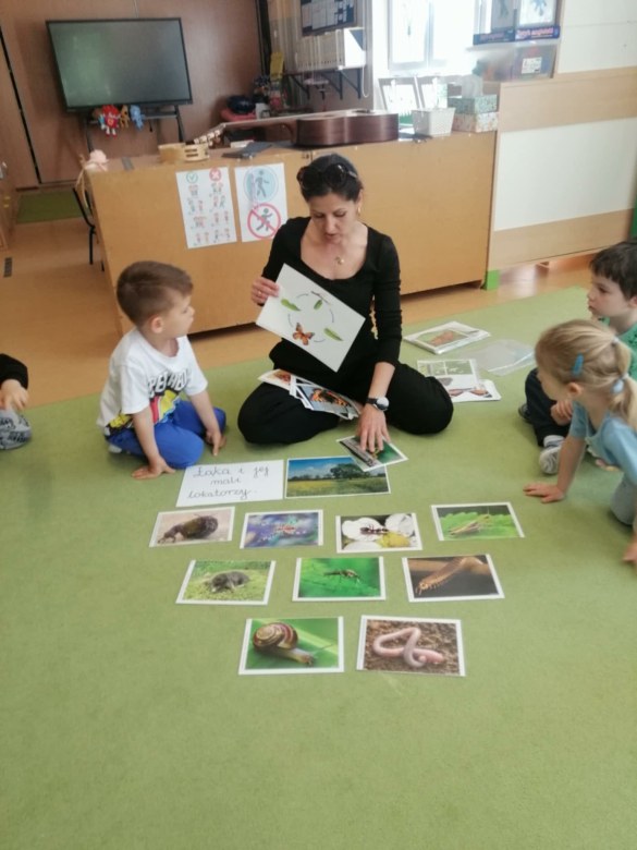 Sówki: Maj 2026 - Zdjęcie 10