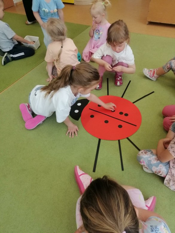 Sówki: Maj 2026 - Zdjęcie 13