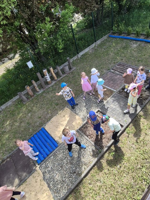 Sówki: Maj 2026 - Zdjęcie 14