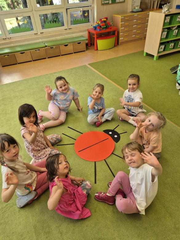 Sówki: Maj 2026 - Zdjęcie 20