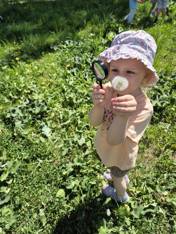 Sówki: Maj 2026 - Zdjęcie 26