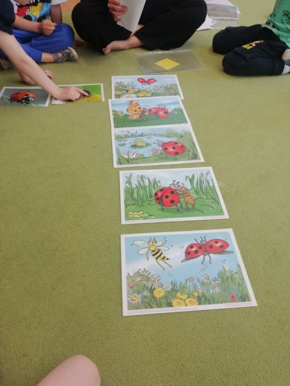 Sówki: Maj 2026 - Zdjęcie 32