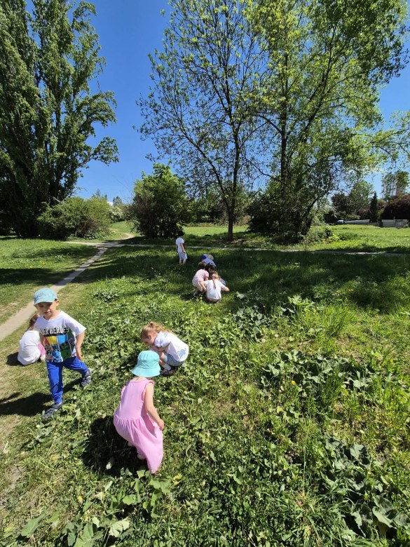 Sówki: Maj 2026 - Zdjęcie 36