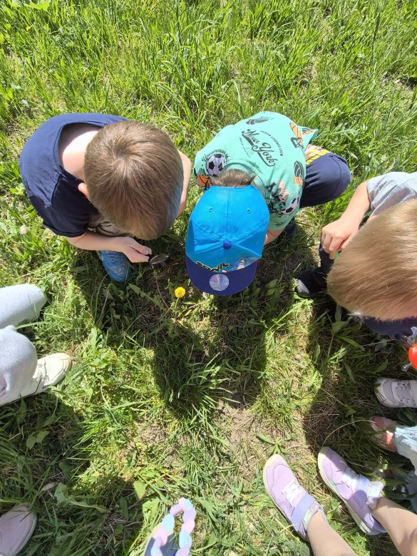 Sówki: Maj 2026 - Zdjęcie 38