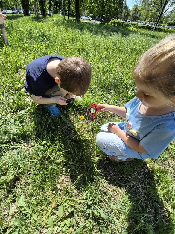 Sówki: Maj 2026 - Zdjęcie 41