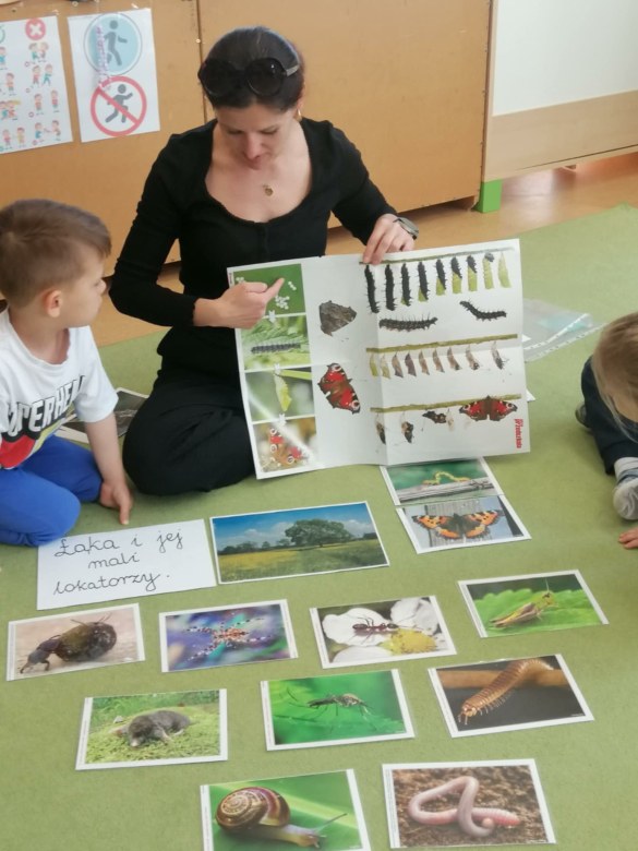 Sówki: Maj 2026 - Zdjęcie 19