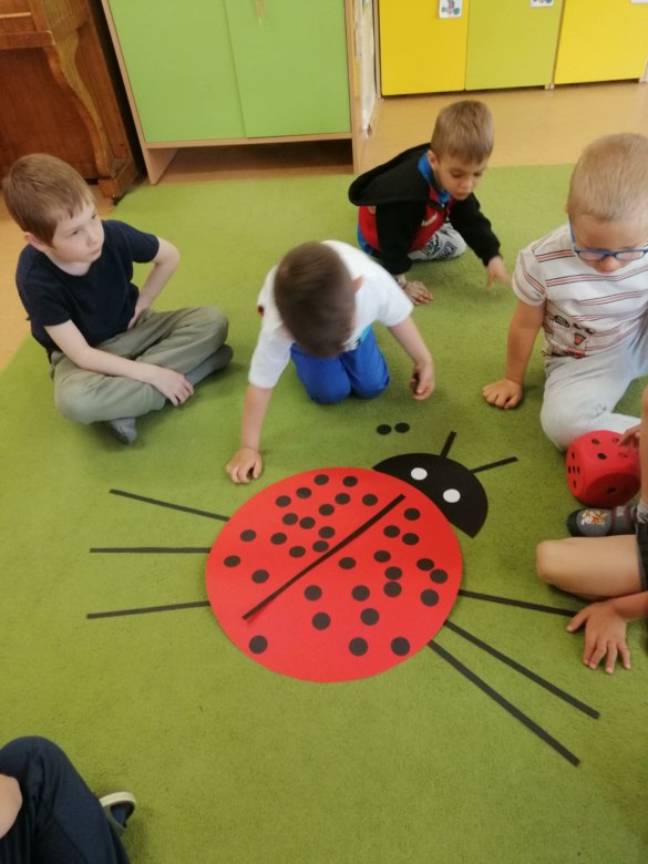 Sówki: Maj 2026 - Zdjęcie 28