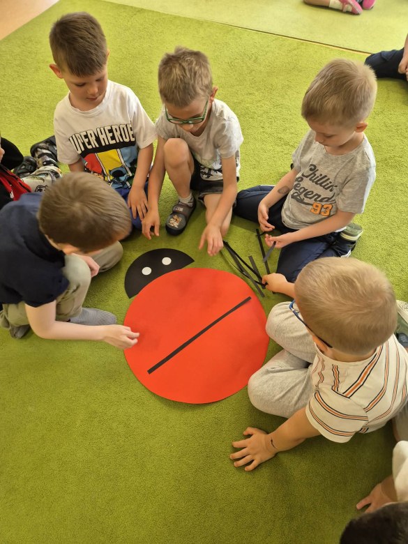 Sówki: Maj 2026 - Zdjęcie 29