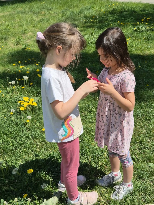 Sówki: Maj 2026 - Zdjęcie 30