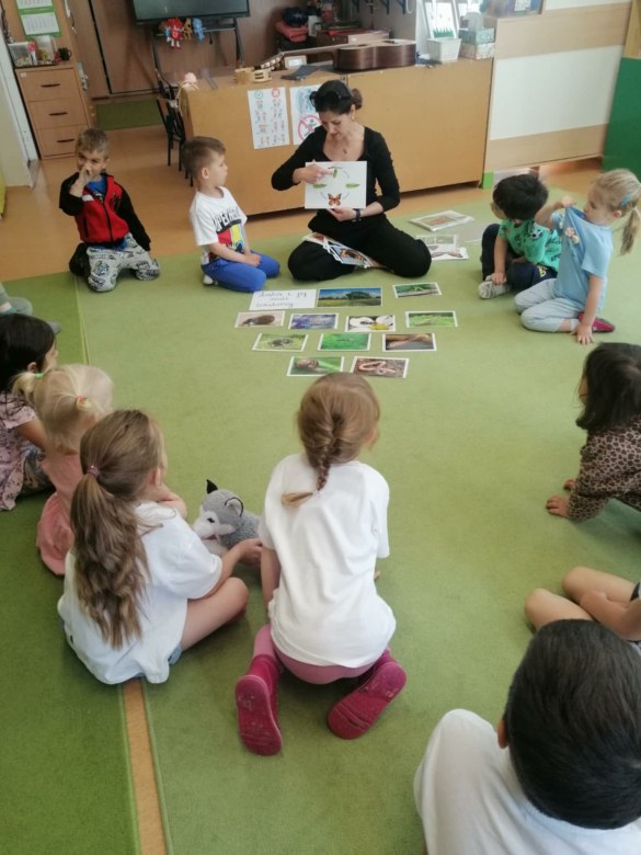Sówki: Maj 2026 - Zdjęcie 31