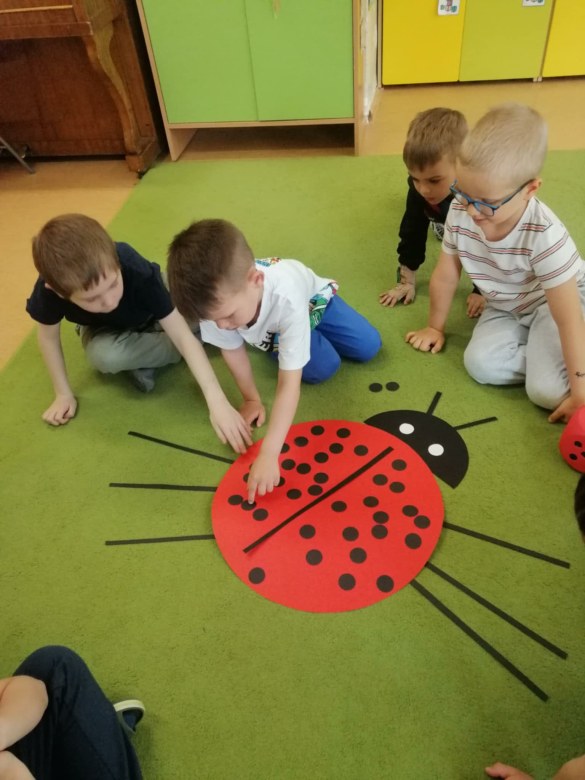 Sówki: Maj 2026 - Zdjęcie 51
