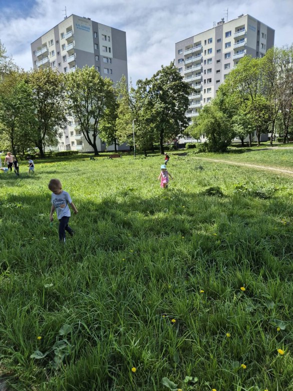 Sówki: Maj 2026 - Zdjęcie 58