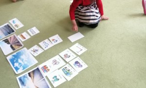 Sówki: Maj 2026 - Zdjęcie 60