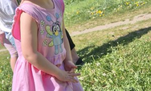Sówki: Maj 2026 - Zdjęcie 67