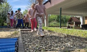 Sówki: Maj 2026 - Zdjęcie 70