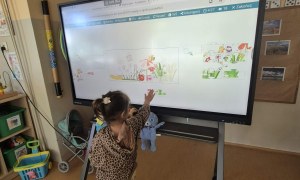 Sówki: Maj 2026 - Zdjęcie 1