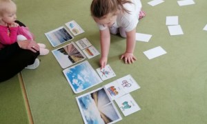Sówki: Maj 2026 - Zdjęcie 2