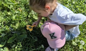 Sówki: Maj 2026 - Zdjęcie 16
