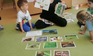 Sówki: Maj 2026 - Zdjęcie 18