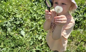 Sówki: Maj 2026 - Zdjęcie 26